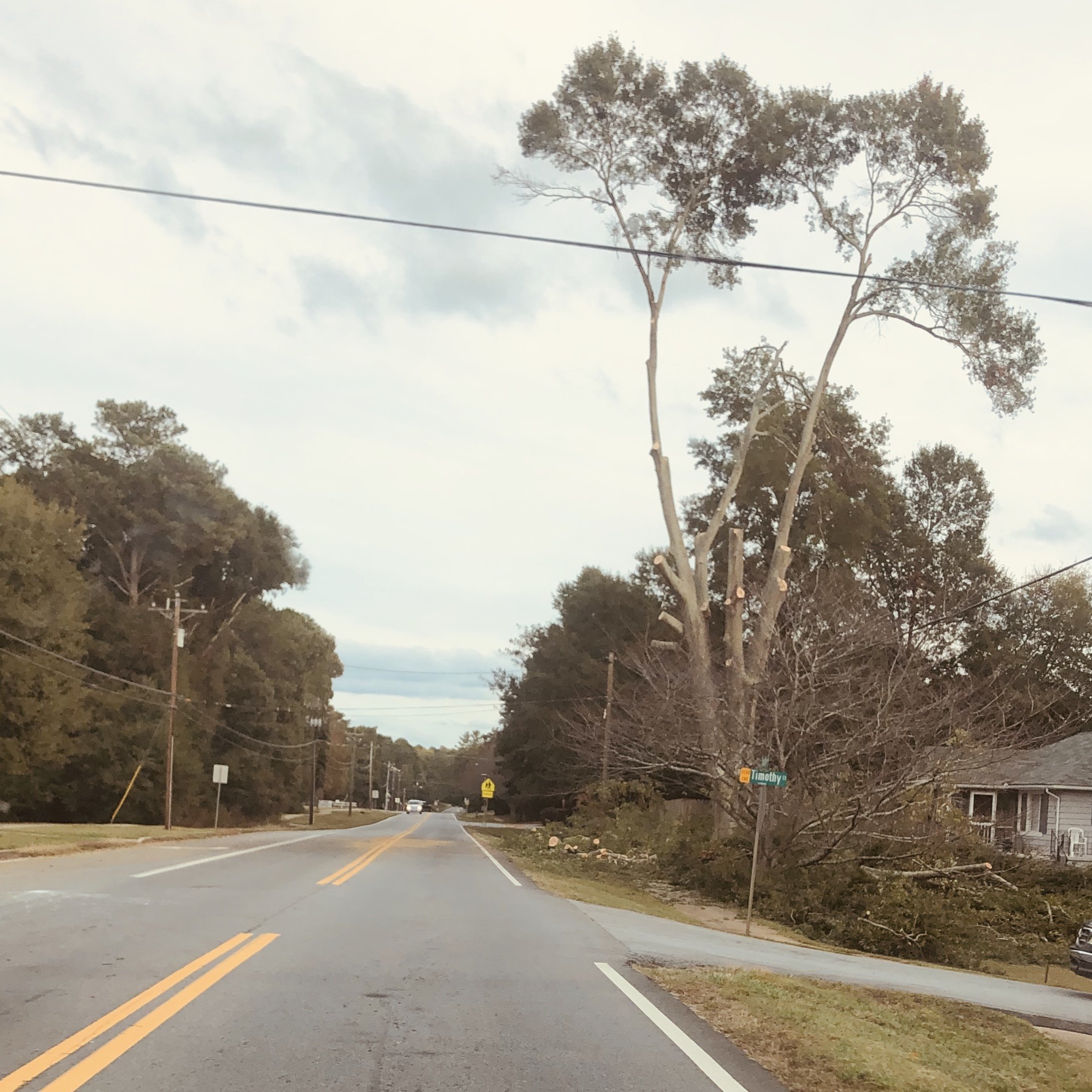 destructive nostalgia